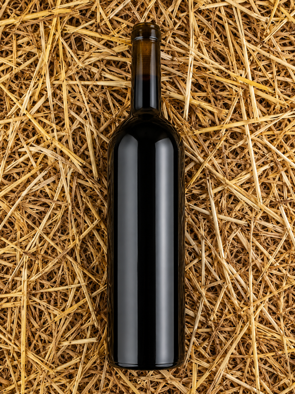 SANTA ANA 2021 Merlot from Madrid, pure and authentic