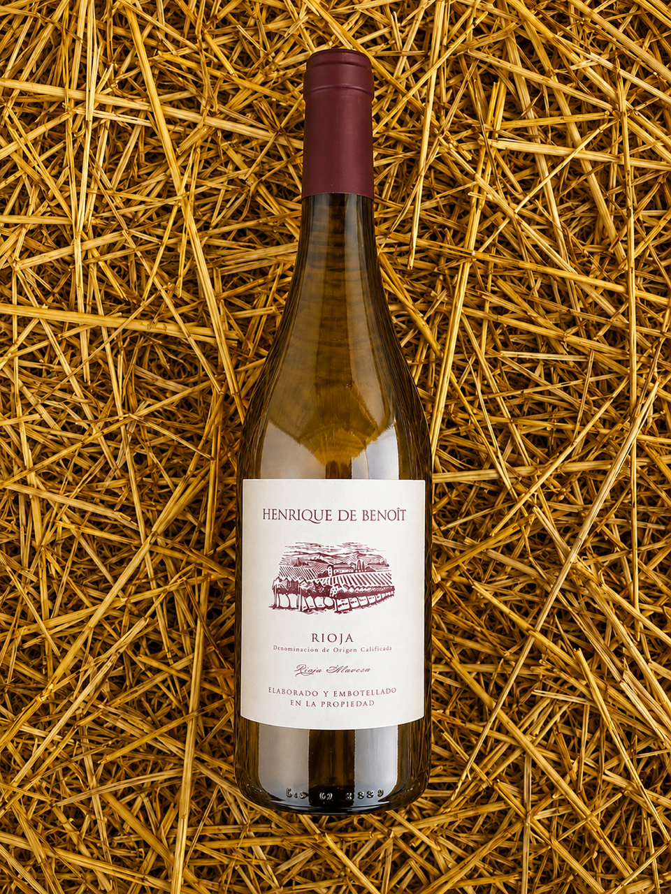 LAS MERCEDES 2024 The elegance of mountain vineyards