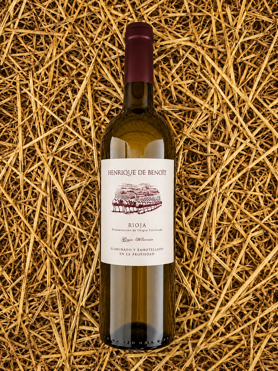LOS GALLEGOS 2025 Tension and vibrant citrus